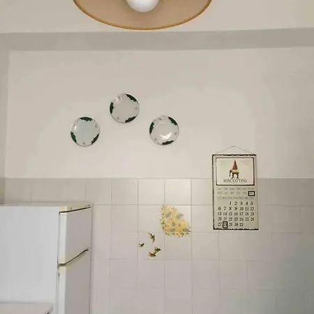 Zona Stadio Apartment Grosseto